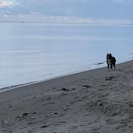 Waldblick דירה *