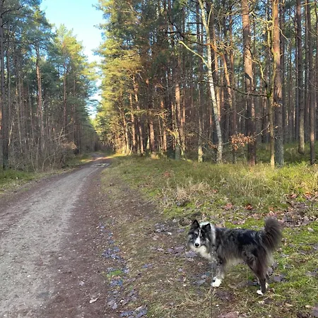 Waldblick Baabe